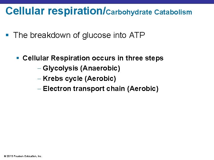Cellular respiration/Carbohydrate Catabolism § The breakdown of glucose into ATP § Cellular Respiration occurs