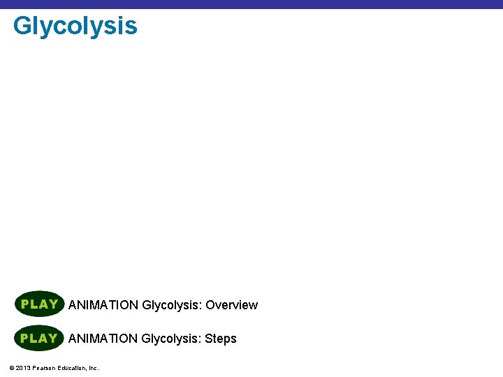Glycolysis ANIMATION Glycolysis: Overview ANIMATION Glycolysis: Steps © 2013 Pearson Education, Inc. 