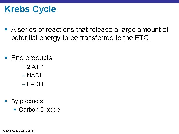 Krebs Cycle § A series of reactions that release a large amount of potential