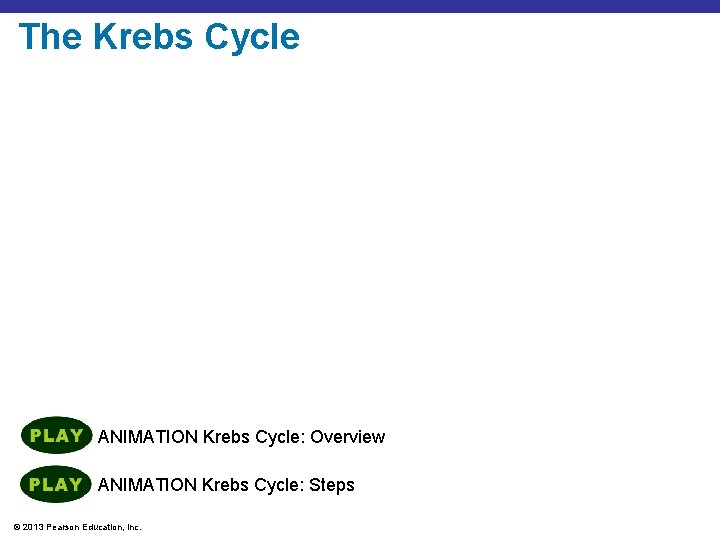 The Krebs Cycle ANIMATION Krebs Cycle: Overview ANIMATION Krebs Cycle: Steps © 2013 Pearson