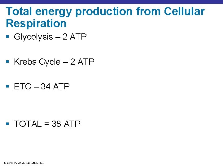 Total energy production from Cellular Respiration § Glycolysis – 2 ATP § Krebs Cycle