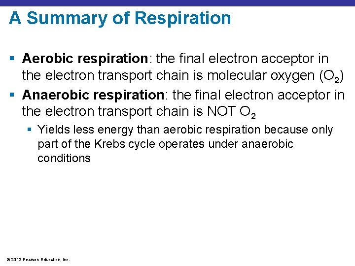 A Summary of Respiration § Aerobic respiration: the final electron acceptor in the electron