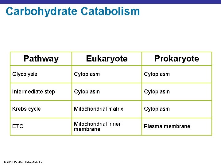 Carbohydrate Catabolism Pathway Eukaryote Prokaryote Glycolysis Cytoplasm Intermediate step Cytoplasm Krebs cycle Mitochondrial matrix