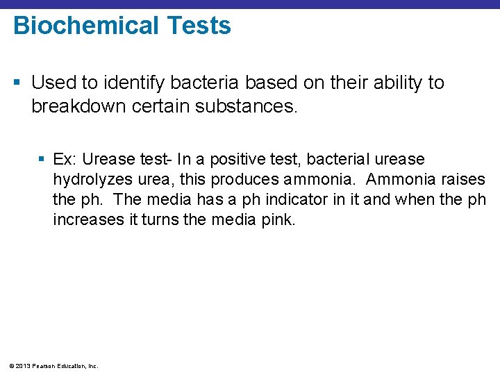 Biochemical Tests § Used to identify bacteria based on their ability to breakdown certain