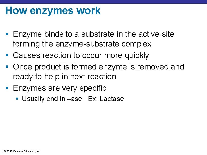 How enzymes work § Enzyme binds to a substrate in the active site forming