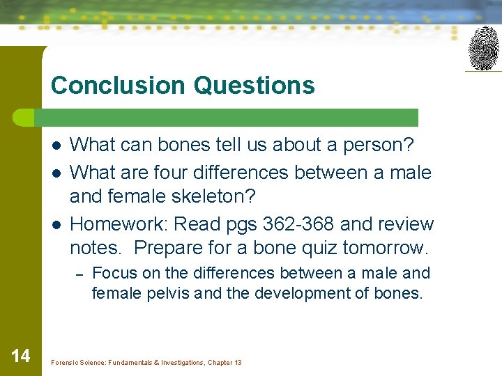 Conclusion Questions l l l What can bones tell us about a person? What