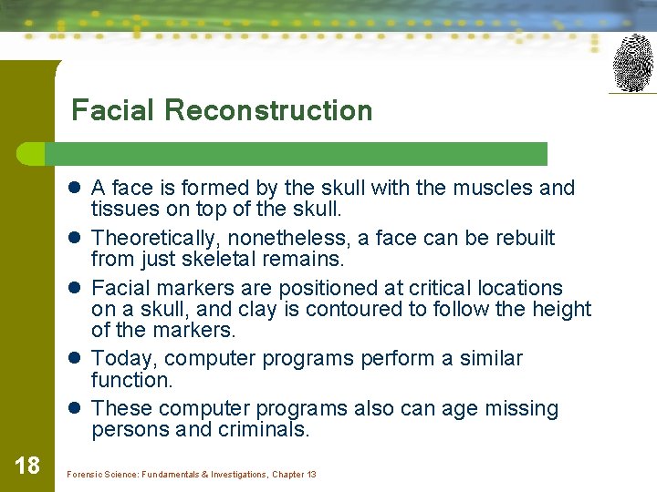 Facial Reconstruction l A face is formed by the skull with the muscles and