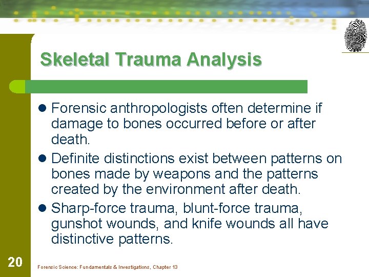 Skeletal Trauma Analysis l Forensic anthropologists often determine if damage to bones occurred before
