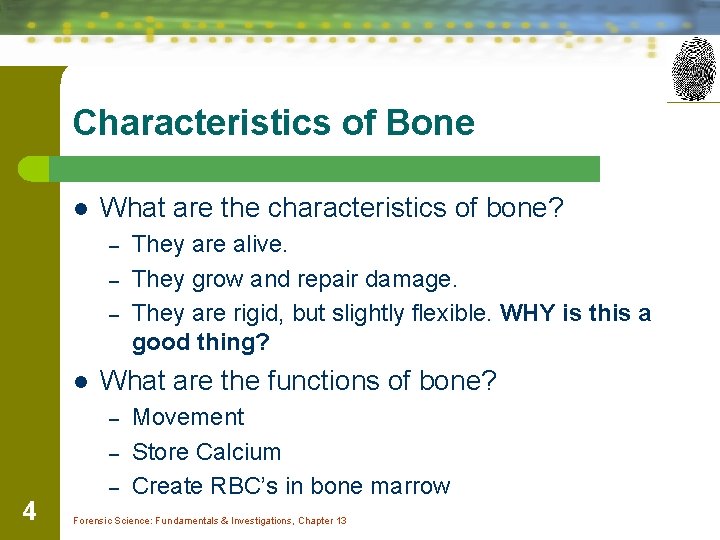 Characteristics of Bone l What are the characteristics of bone? – – – l