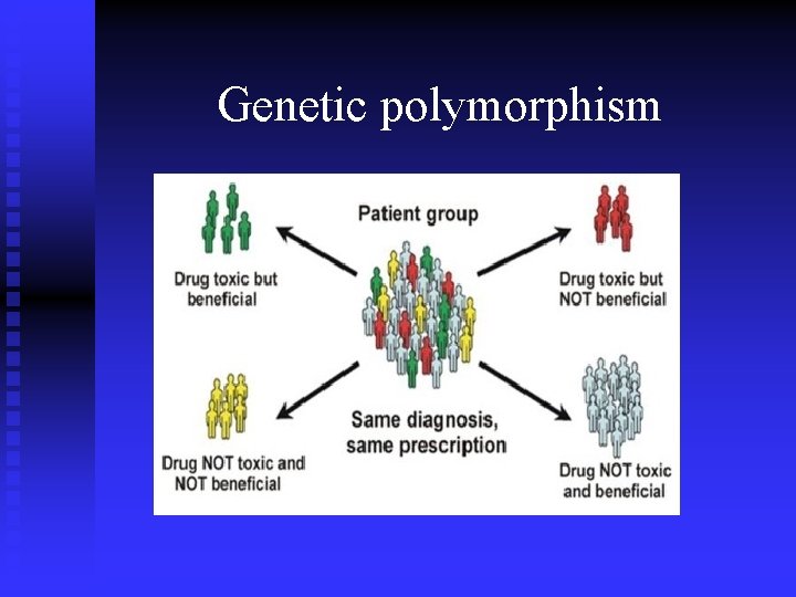 Genetic polymorphism 