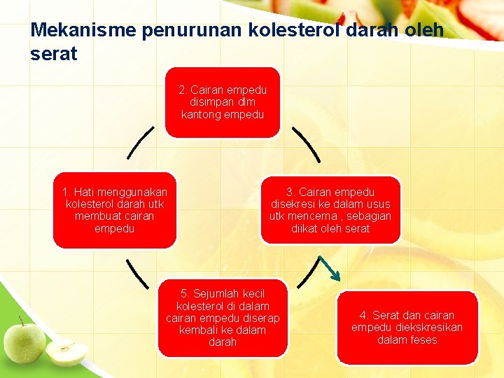 Mekanisme penurunan kolesterol darah oleh serat 2. Cairan empedu disimpan dlm kantong empedu 1.