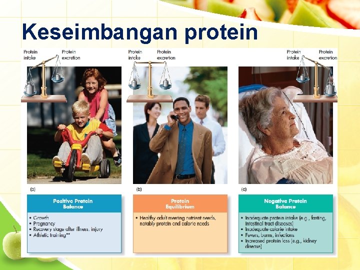 Keseimbangan protein 