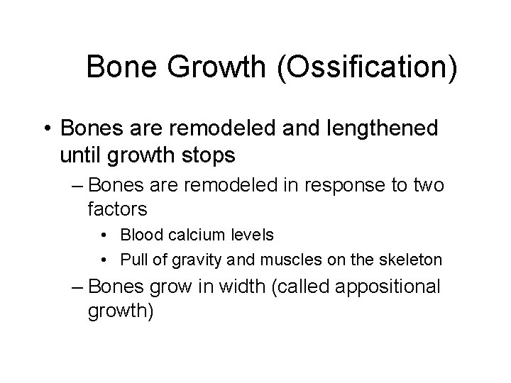 Bone Growth (Ossification) • Bones are remodeled and lengthened until growth stops – Bones