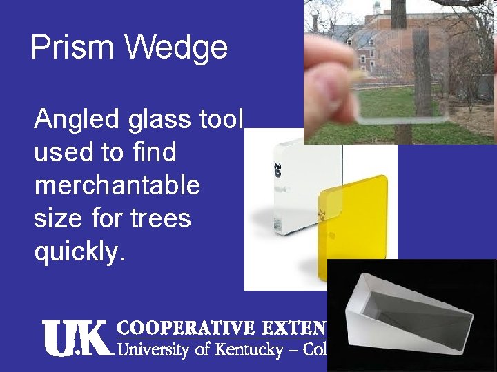 Prism Wedge Angled glass tool used to find merchantable size for trees quickly. 