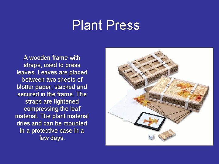 Plant Press A wooden frame with straps, used to press leaves. Leaves are placed