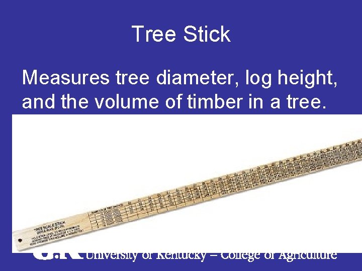 Tree Stick Measures tree diameter, log height, and the volume of timber in a
