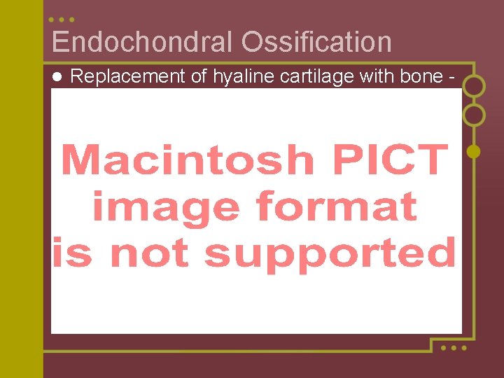 Endochondral Ossification Replacement of hyaline cartilage with bone see Figure 6. 8 on pg