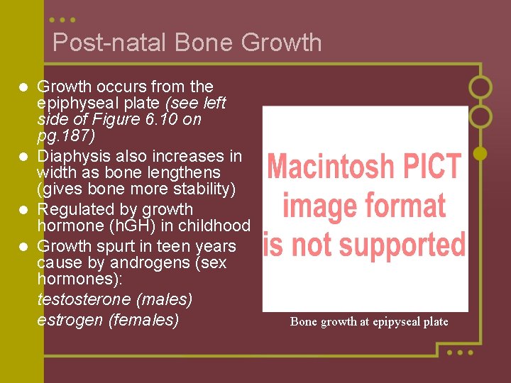 Post-natal Bone Growth occurs from the epiphyseal plate (see left side of Figure 6.