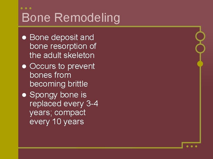 Bone Remodeling Bone deposit and bone resorption of the adult skeleton l Occurs to
