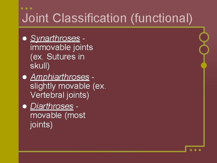 Joint Classification (functional) Synarthroses immovable joints (ex. Sutures in skull) l Amphiarthroses slightly movable