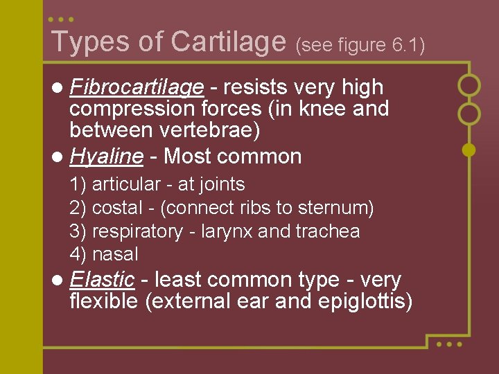 Types of Cartilage (see figure 6. 1) l Fibrocartilage - resists very high compression