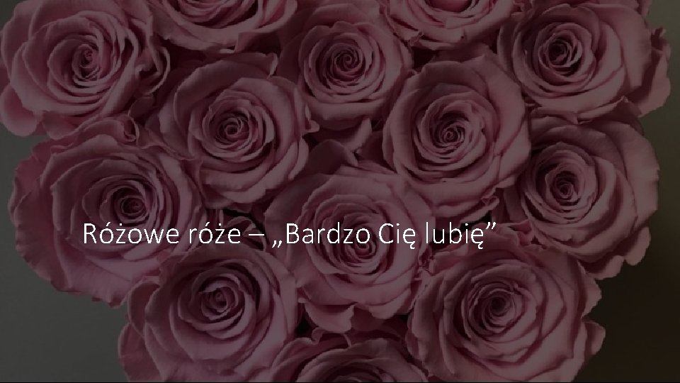 Różowe róże – „Bardzo Cię lubię” 