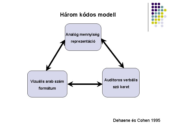 Három kódos modell Analóg mennyiség reprezentáció Vizuális arab szám Auditoros verbális formátum szó keret