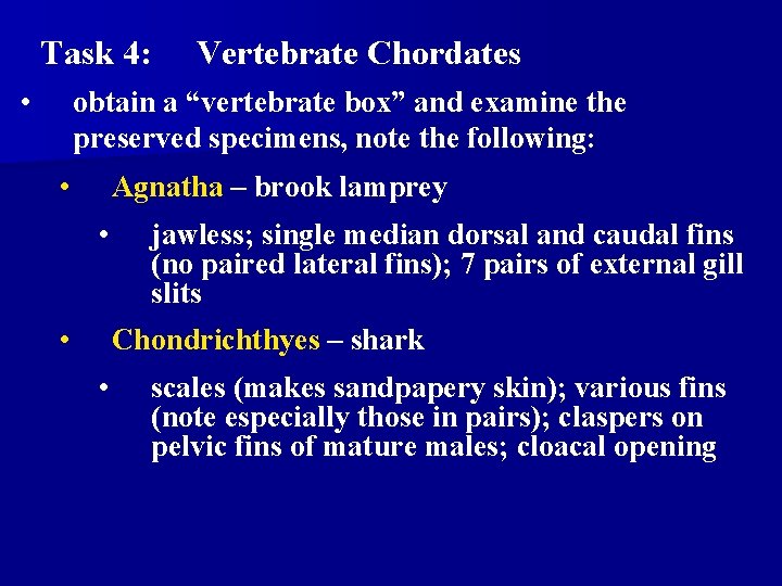 Task 4: • Vertebrate Chordates obtain a “vertebrate box” and examine the preserved specimens,