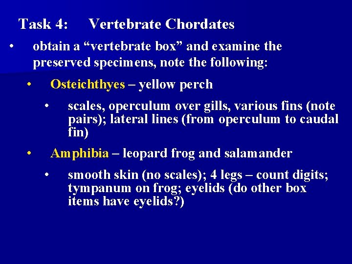 Task 4: • Vertebrate Chordates obtain a “vertebrate box” and examine the preserved specimens,