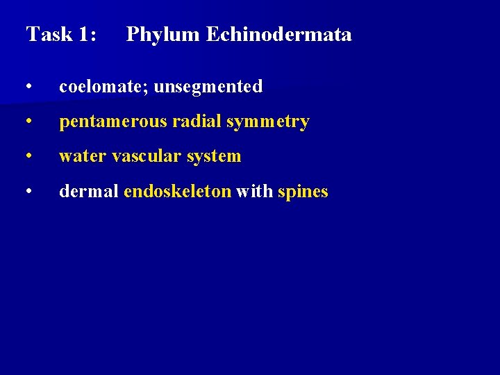 Task 1: Phylum Echinodermata • coelomate; unsegmented • pentamerous radial symmetry • water vascular