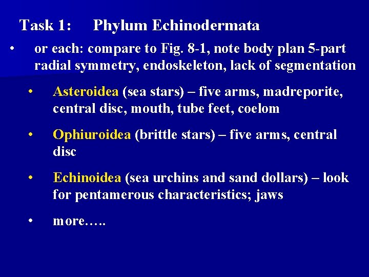 Task 1: • Phylum Echinodermata or each: compare to Fig. 8 -1, note body