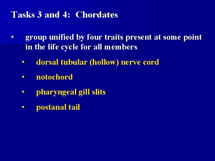 Tasks 3 and 4: Chordates • group unified by four traits present at some