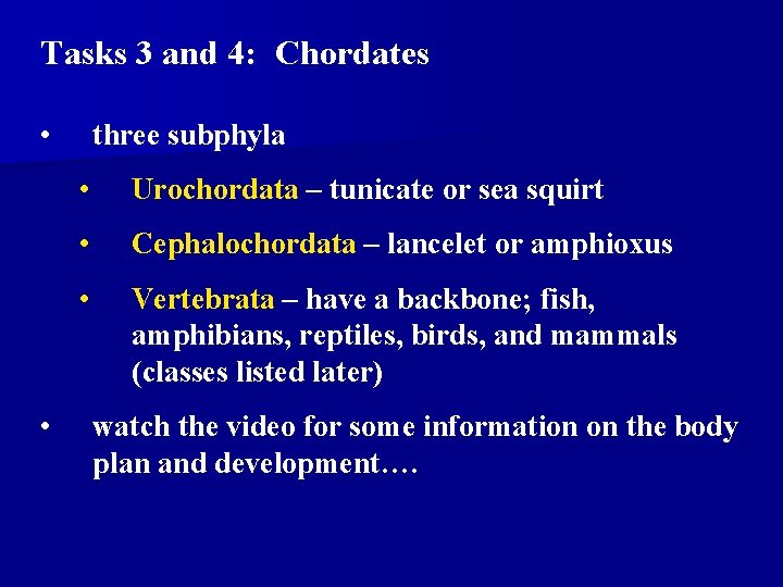 Tasks 3 and 4: Chordates • • three subphyla • Urochordata – tunicate or