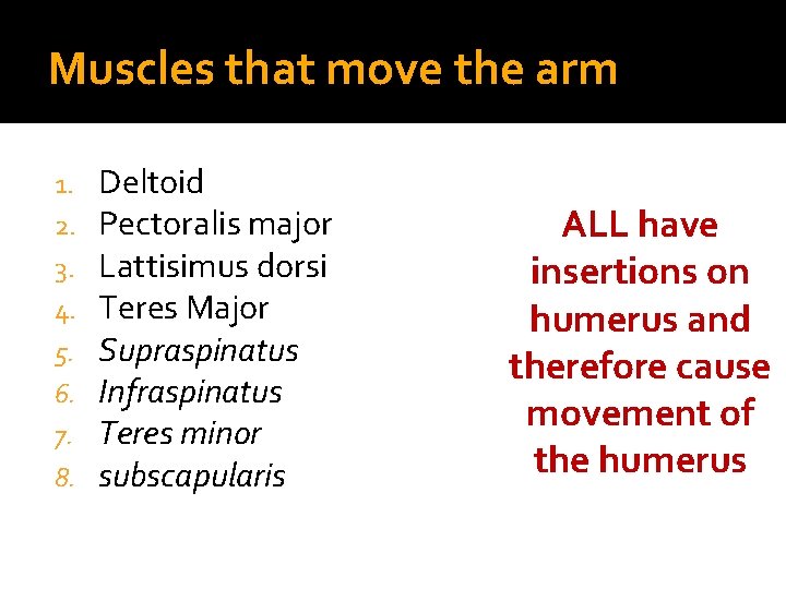 Muscles that move the arm 1. 2. 3. 4. 5. 6. 7. 8. Deltoid