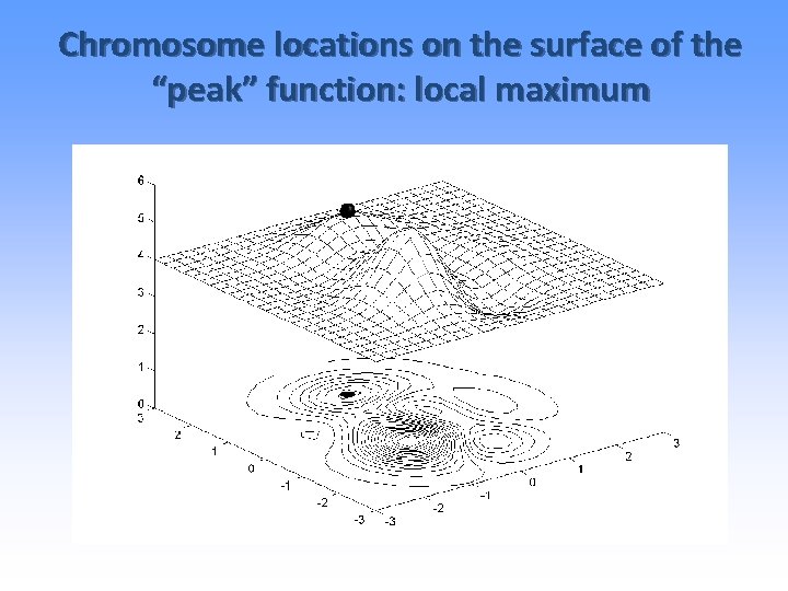 Chromosome locations on the surface of the “peak” function: local maximum 
