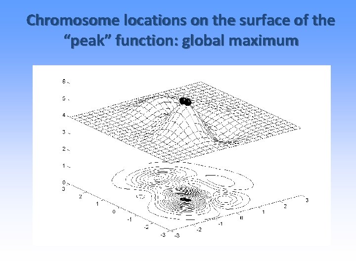 Chromosome locations on the surface of the “peak” function: global maximum 