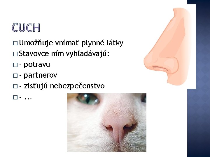 � Umožňuje vnímať plynné látky � Stavovce ním vyhľadávajú: � - potravu � -