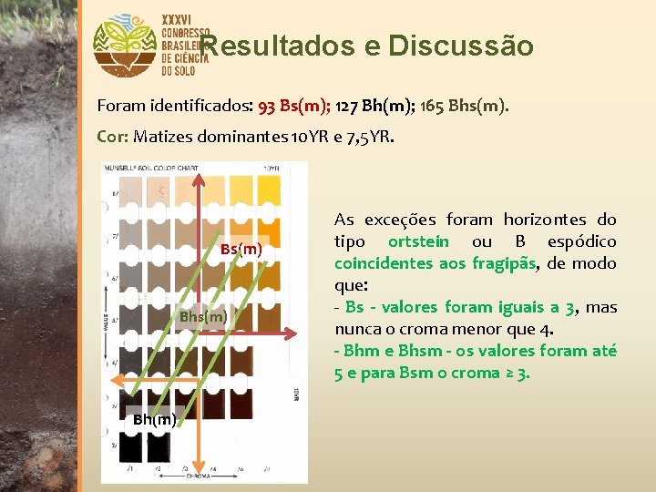 Resultados e Discussão Foram identificados: 93 Bs(m); 127 Bh(m); 165 Bhs(m). Cor: Matizes dominantes