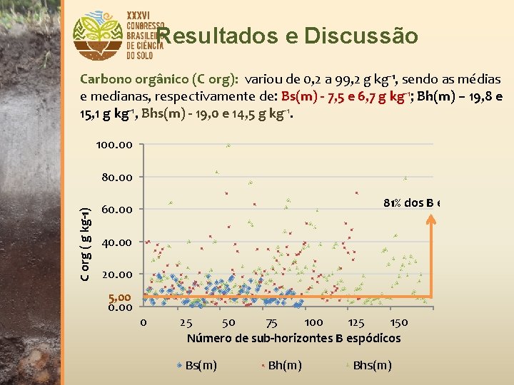 Resultados e Discussão Carbono orgânico (C org): variou de 0, 2 a 99, 2