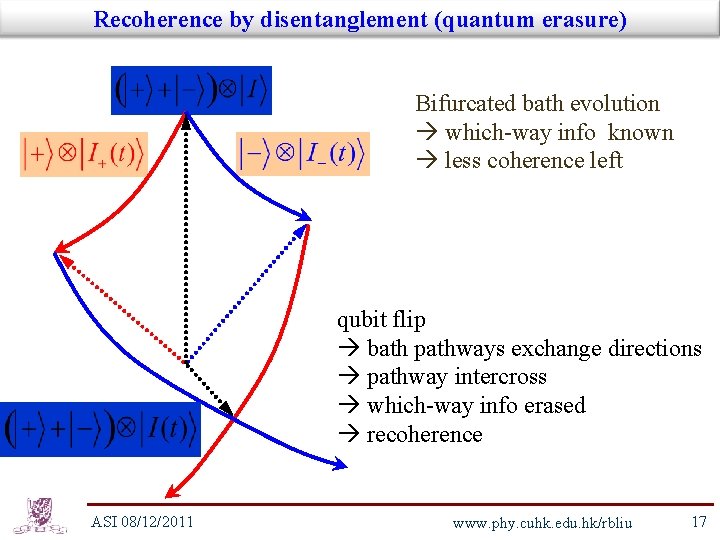 Recoherence by disentanglement (quantum erasure) Bifurcated bath evolution which-way info known less coherence left