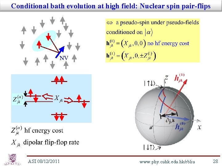 Conditional bath evolution at high field: Nuclear spin pair-flips NV ASI 08/12/2011 www. phy.