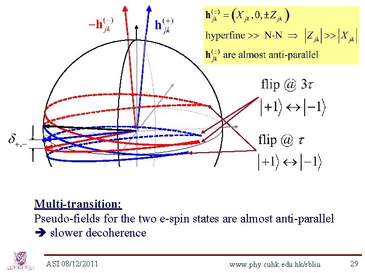 Multi-transition: Pseudo-fields for the two e-spin states are almost anti-parallel slower decoherence ASI 08/12/2011