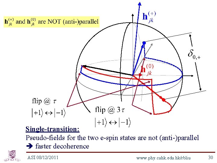 Single-transition: Pseudo-fields for the two e-spin states are not (anti-)parallel faster decoherence ASI 08/12/2011