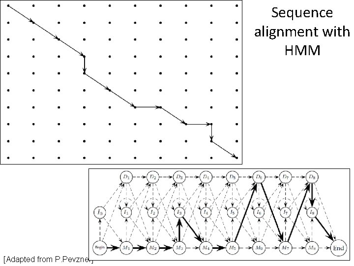 Sequence alignment with HMM [Adapted from P. Pevzner] 