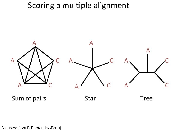 Scoring a multiple alignment A A A C Sum of pairs [Adapted from D. Scoring a multiple alignment A A A C Sum of pairs [Adapted from D.