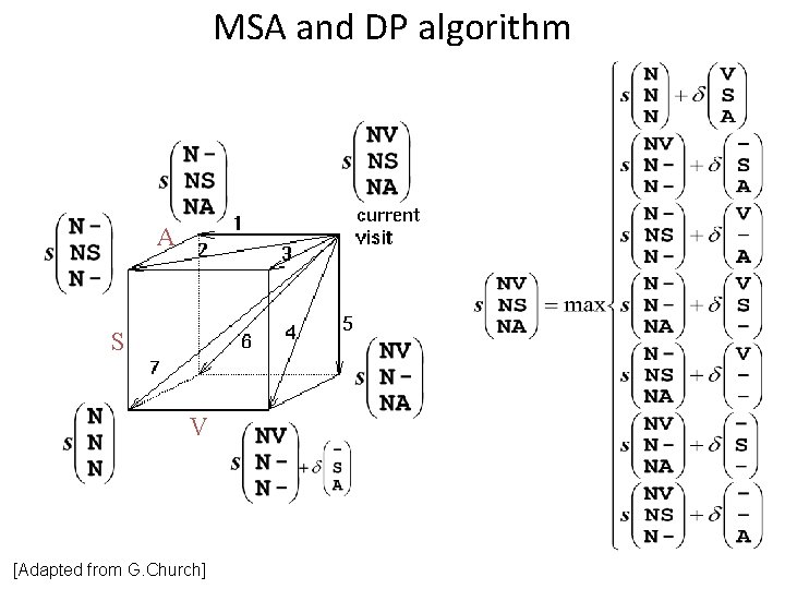 MSA and DP algorithm A S V [Adapted from G. Church] 