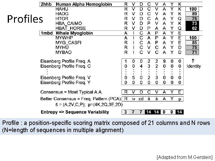 Profiles Profile : a position-specific scoring matrix composed of 21 columns and N rows Profiles Profile : a position-specific scoring matrix composed of 21 columns and N rows