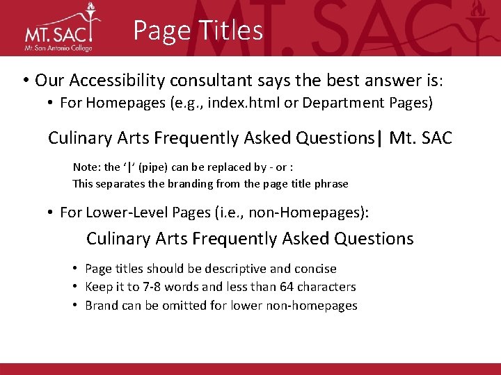 Page Titles • Our Accessibility consultant says the best answer is: • For Homepages