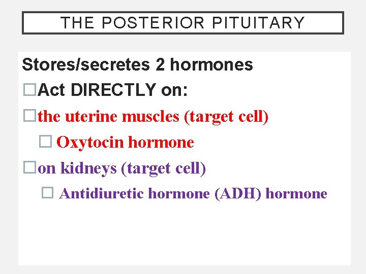 THE POSTERIOR PITUITARY Stores/secretes 2 hormones o. Act DIRECTLY on: othe uterine muscles (target