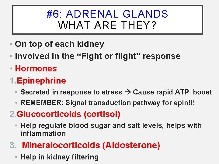 #6: ADRENAL GLANDS WHAT ARE THEY? • On top of each kidney • Involved